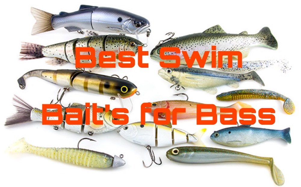 Best Swim Baits for Bass - HookdOnBassin