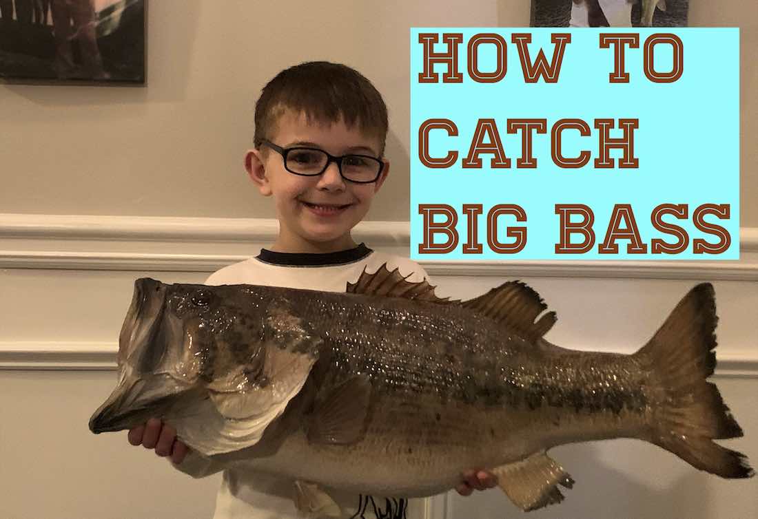 How to Catch Big Bass - HookdOnBassin