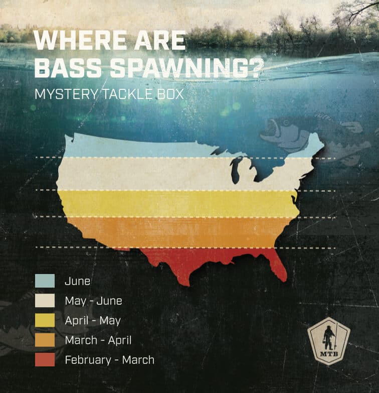 When Do Bass Spawn?