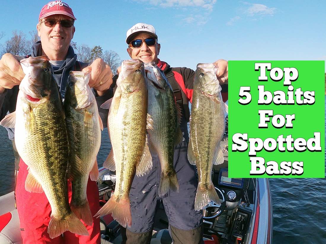 Top 5 Baits for Spotted Bass HookdOnBassin