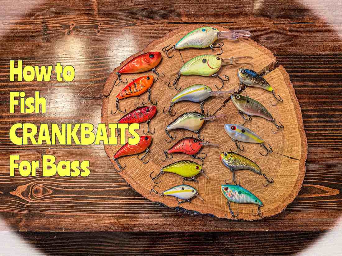 How to Fish Crankbaits for Bass - HookdOnBassin