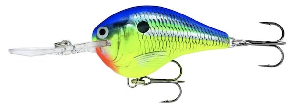 rapala dives