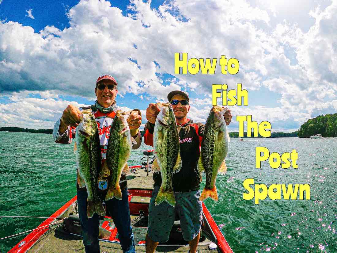 How To Fish The Post Spawn HookdOnBassin