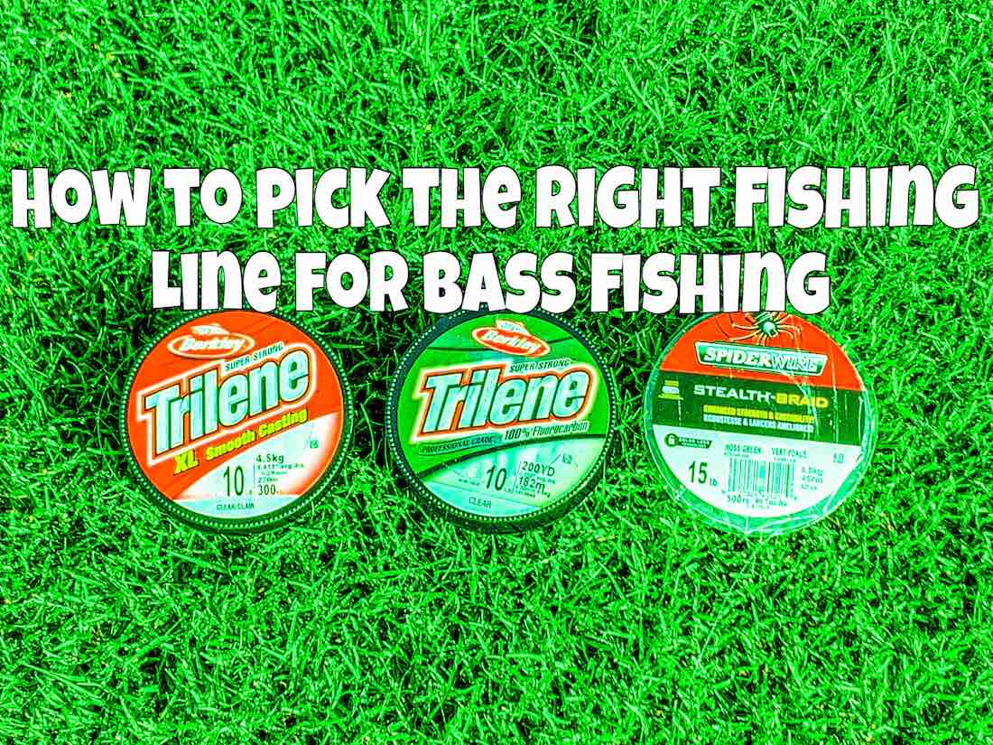 Choosing the Best Fishing Line: Mono vs. Fluoro vs. Braid