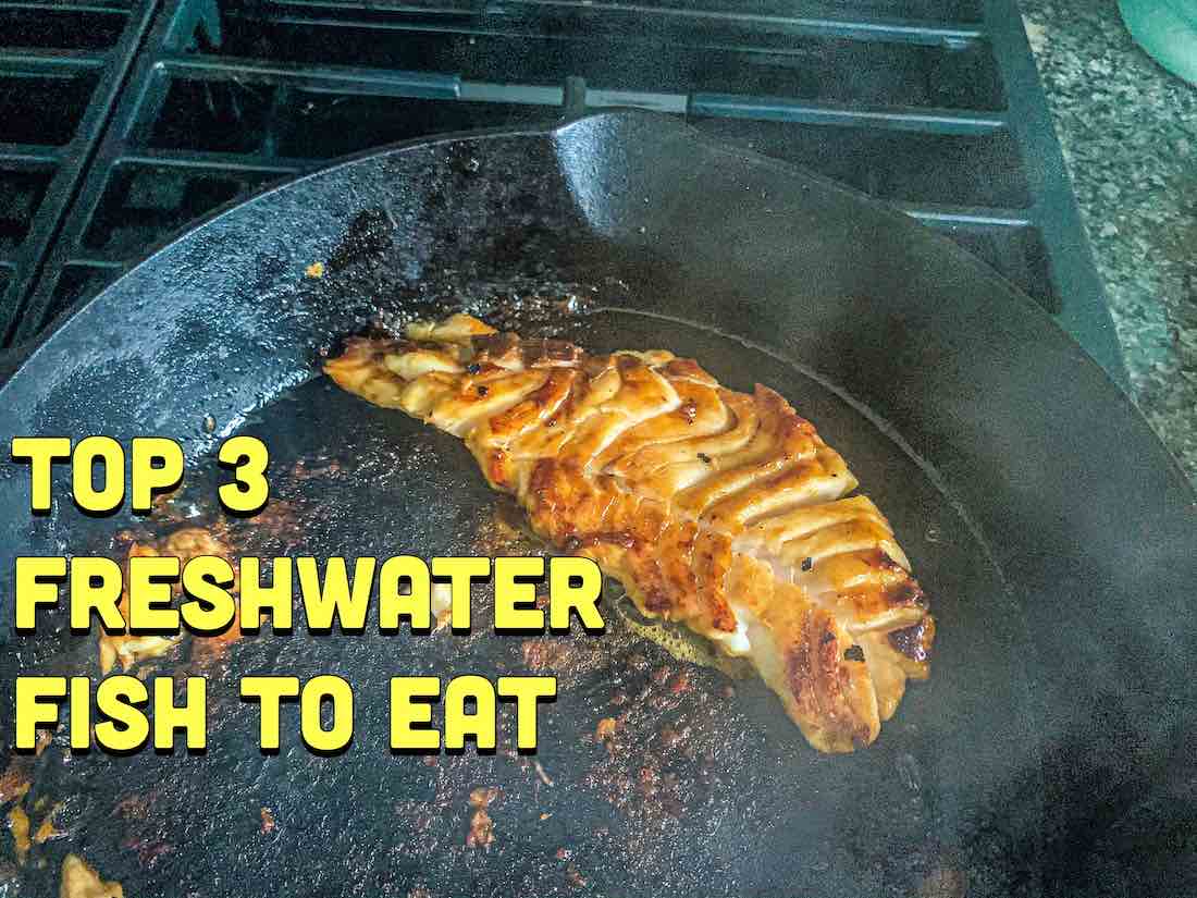 Top 3 Freshwater Fish to Eat - HookdOnBassin