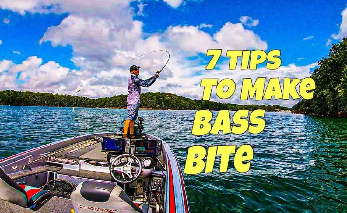 7 Tips to Make Bass Bite - HookdOnBassin