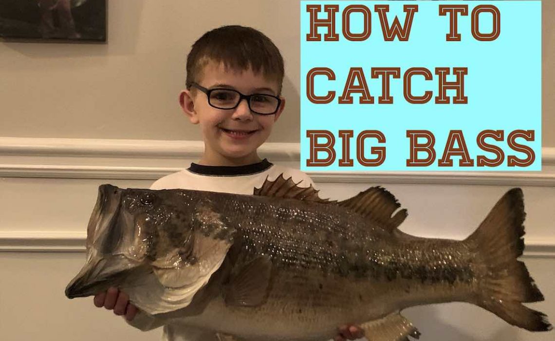 Catch Big Bass