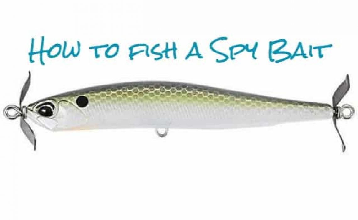 How to Fish a Spy Bait - HookdOnBassin