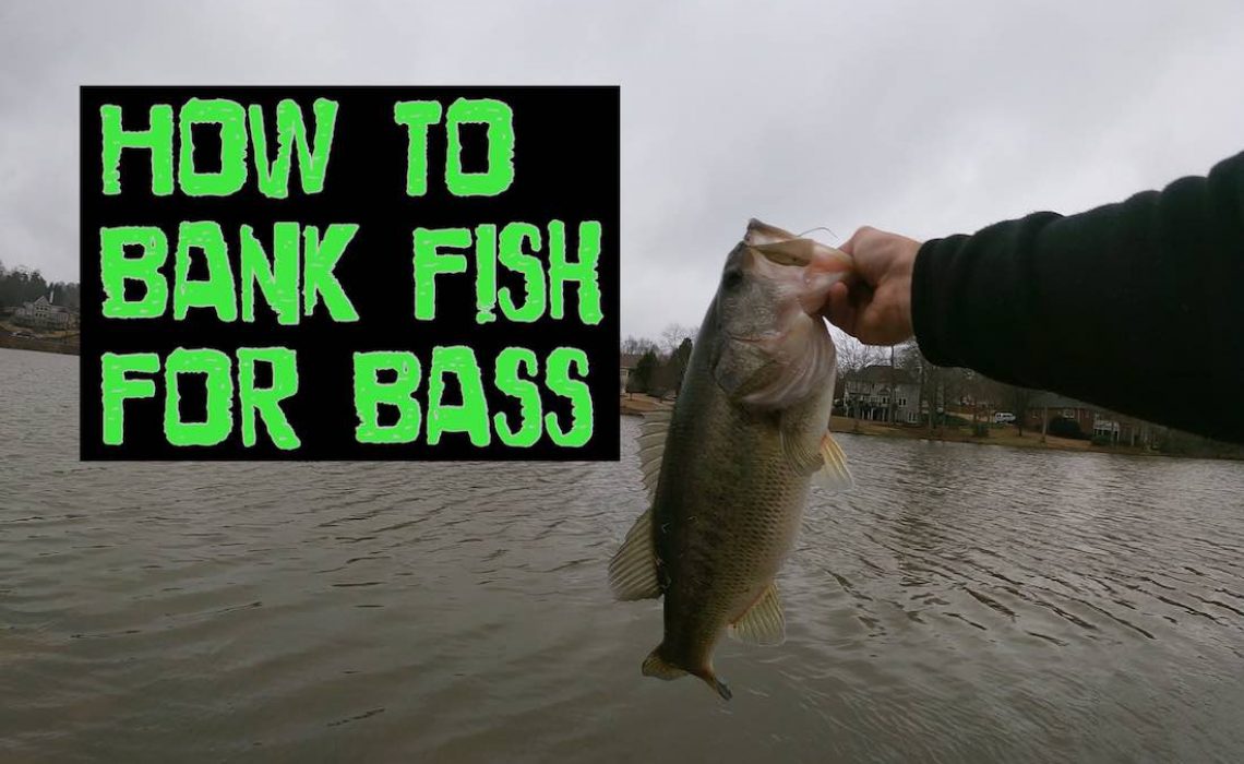 bank fishing for bass