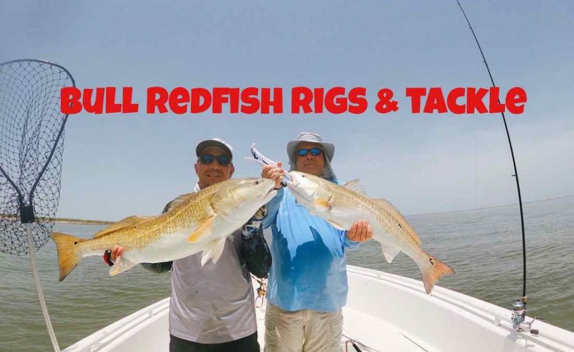 Texas Bull Reds and Shark - Surf Fishing Rig 