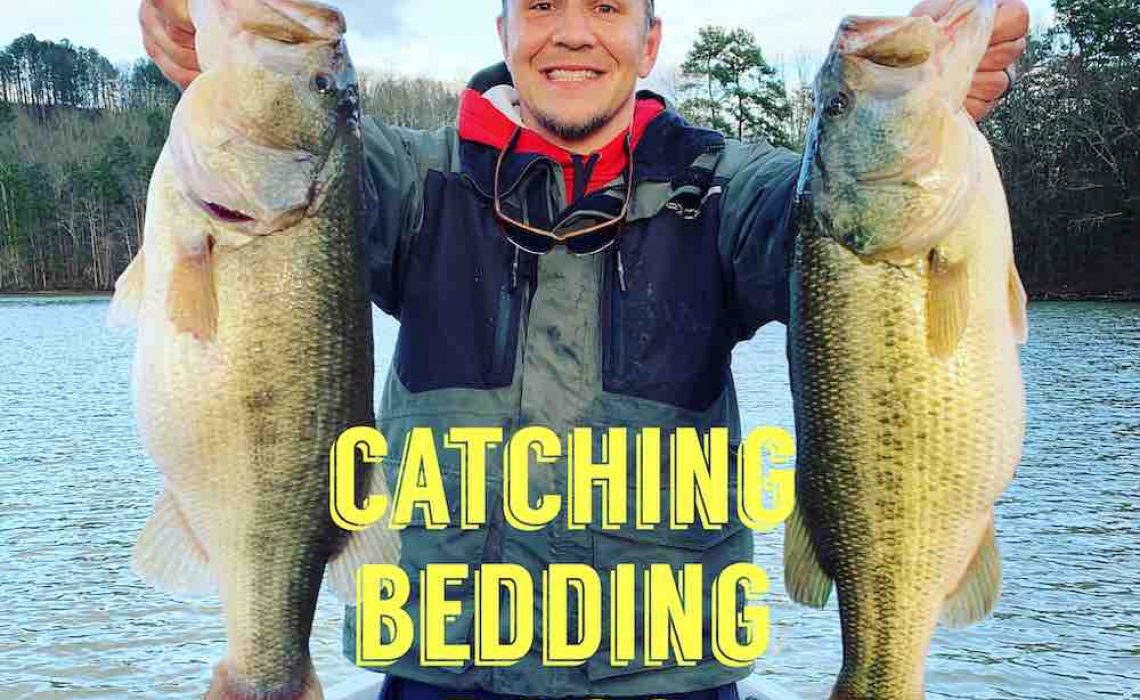 bedding bass