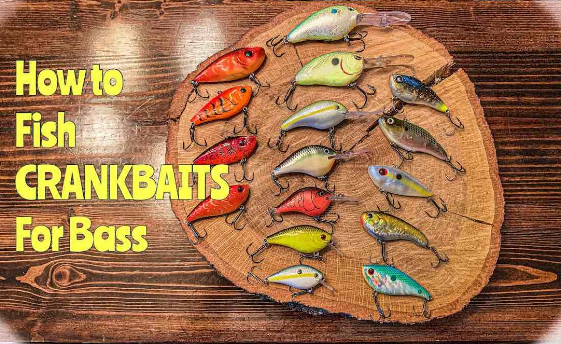 5 Florida Bass Baits You Need in Your Arsenal