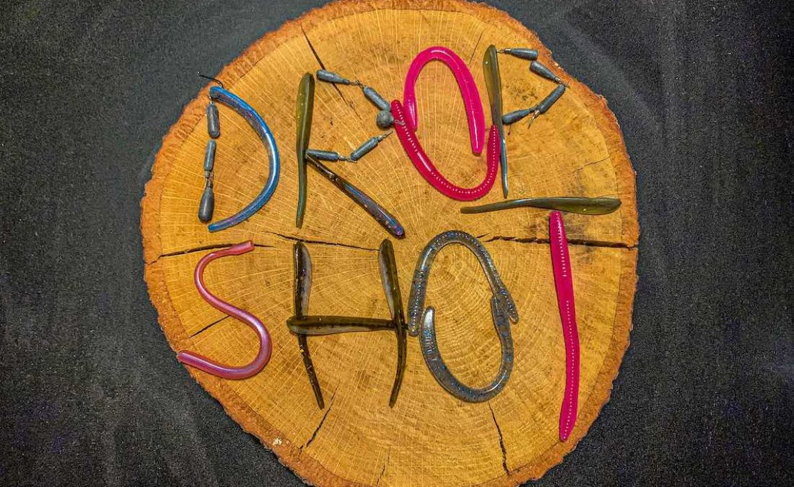 Dropshot Fishing Guide - 5 Best Drop Shot Baits - HookdOnBassin