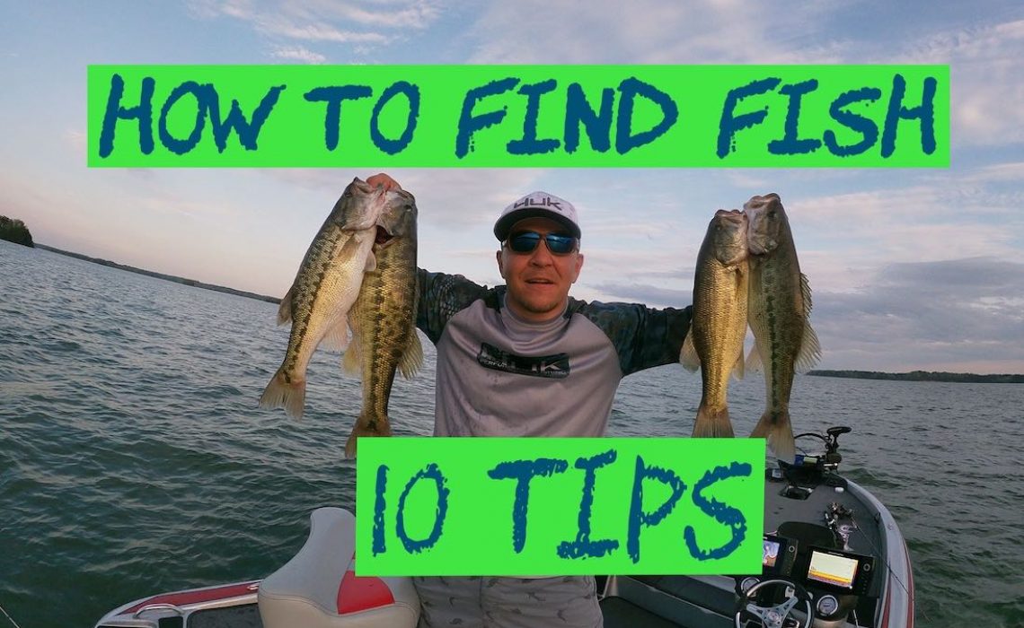 How to Find Fish - 10 Tips - HookdOnBassin