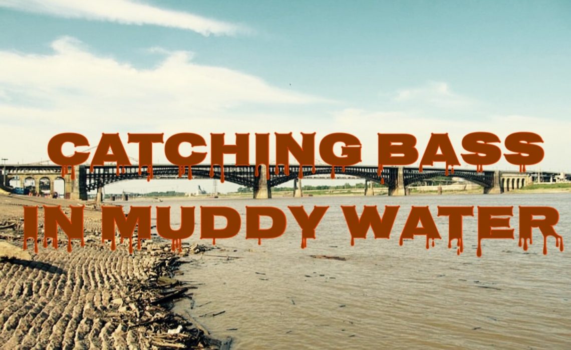 muddy water