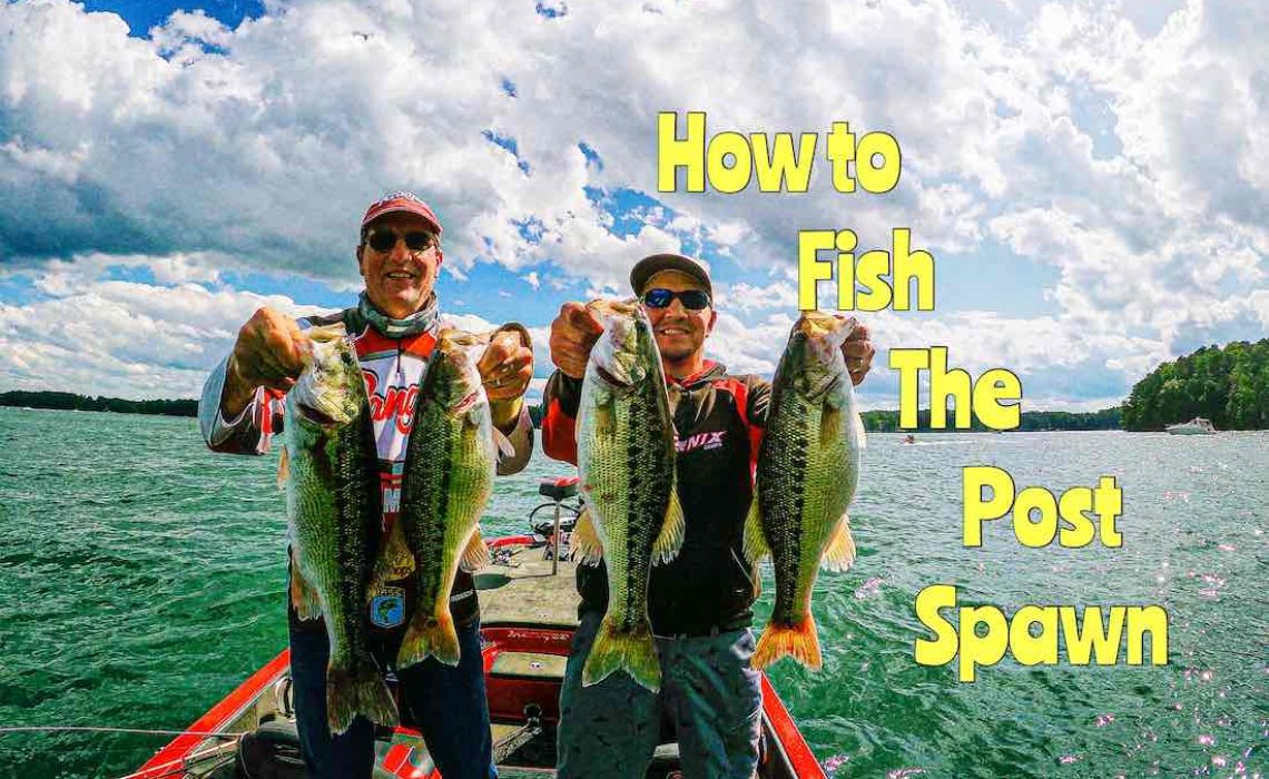 How to Fish the Post Spawn - HookdOnBassin